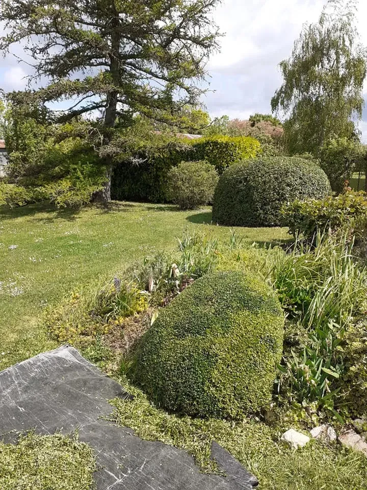 plantation arbres et arbustes à Ballay
