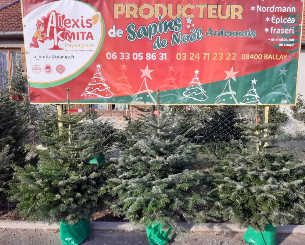 Sapin de Noël (2)